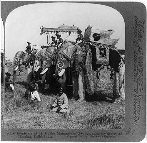 Исторически находки Снимка: Държавни слонове, Х Х, Махараджа Гвалиора, Дурбар, Делхи, Индия, c1903, Внимателно изследван
