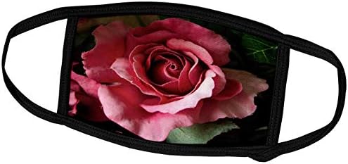 3дРоза Красиво Розово цвете, с Падащ В седалка за рози (fc_296459_2)
